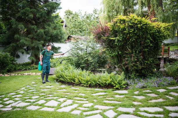Best Local Pest Control Services  in Kettering, OH