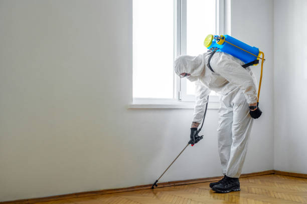 Best Commercial Pest Control Services  in Kettering, OH