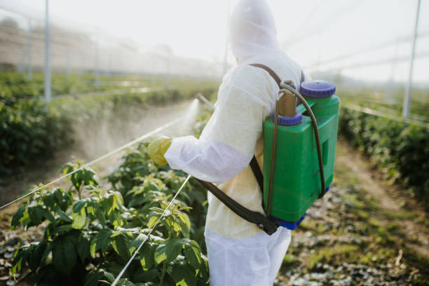 Best Pest Control Near Me in Kettering, OH